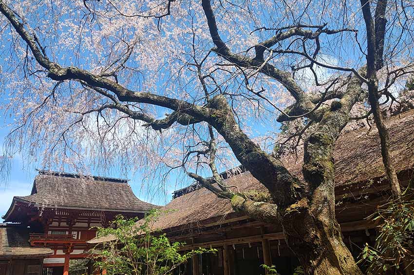 吉野水分神社