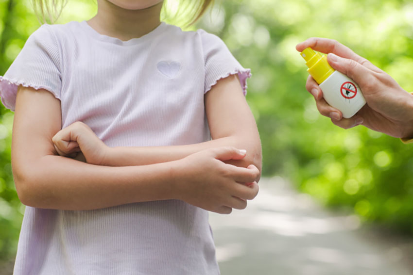 虫除けイメージ